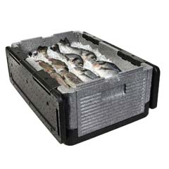 A black and grey ARPRO (expanded polypropylene) box for fish, the fish are stored on ice