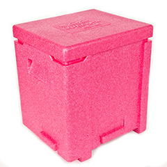 Magenta bee hive made from ARPRO (expanded polypropylene) 