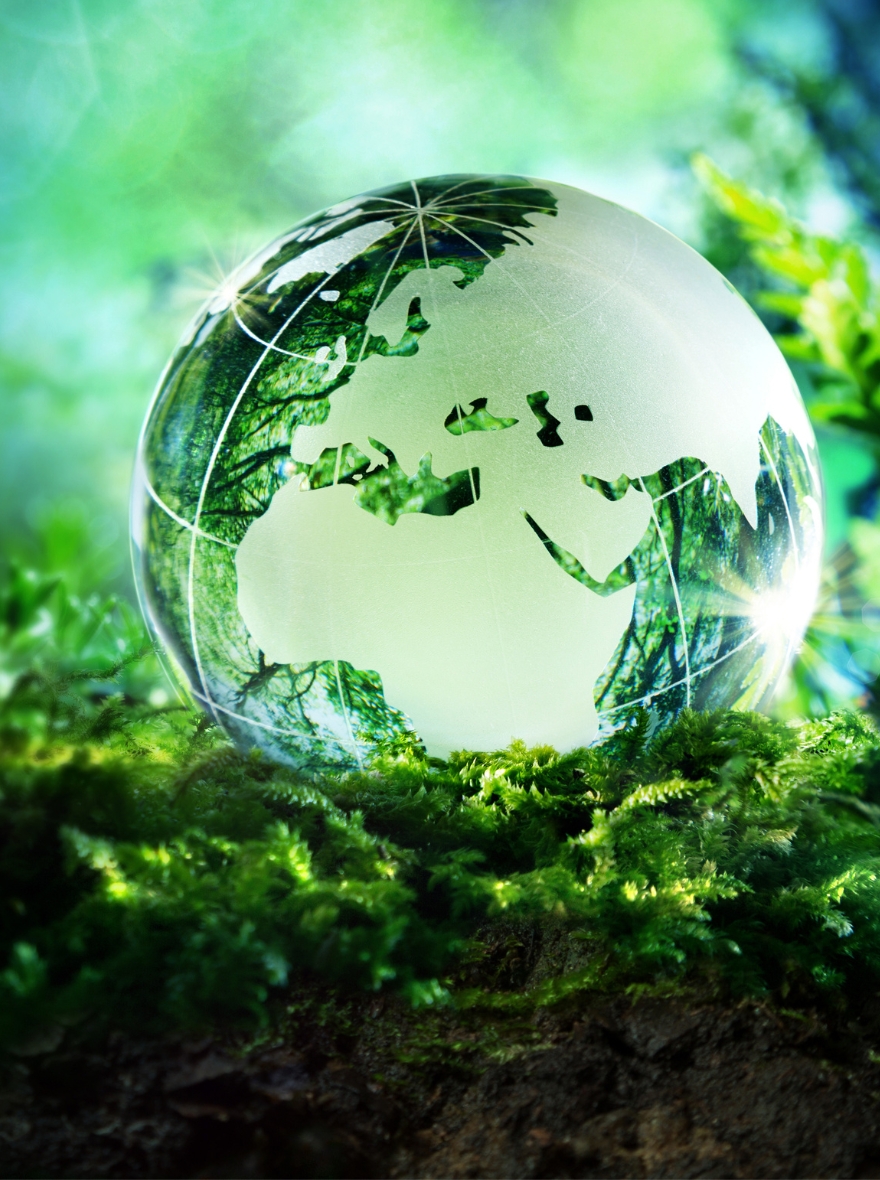 Climate change mitigation CTA