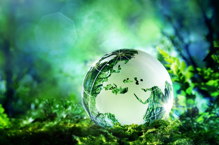 Obrázek udržitelnosti zobrazující zelenou planetu na listech