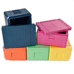 ARPRO (expanded polypropylene) Blueberry, Dragon Fruit, Orange, Lemon and Lime thermal insulating food boxes, Blueberry and Dragon fruit boxes open